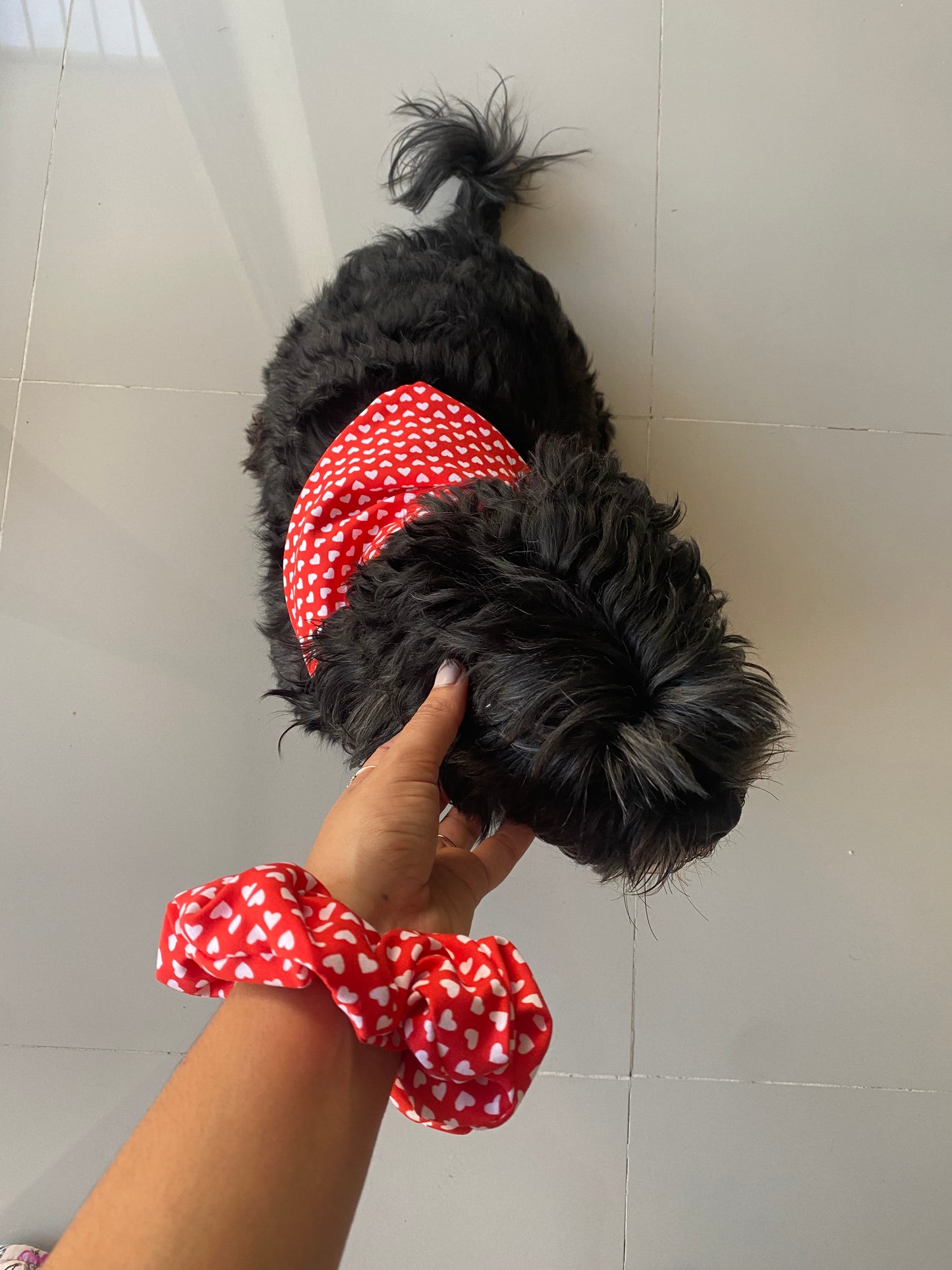 Amorcito Red Bandana